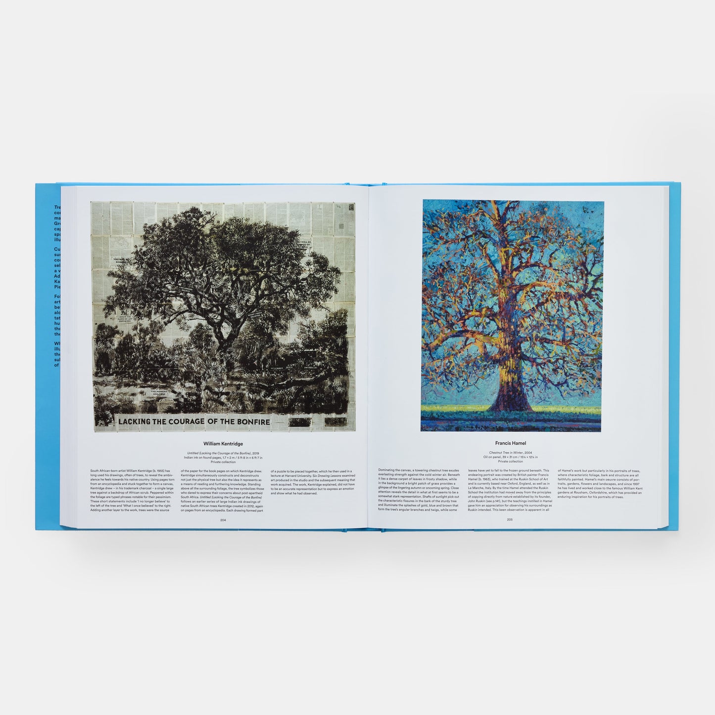 Árbol: Explorando el mundo arbóreo