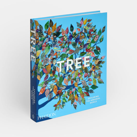 Árbol: Explorando el mundo arbóreo