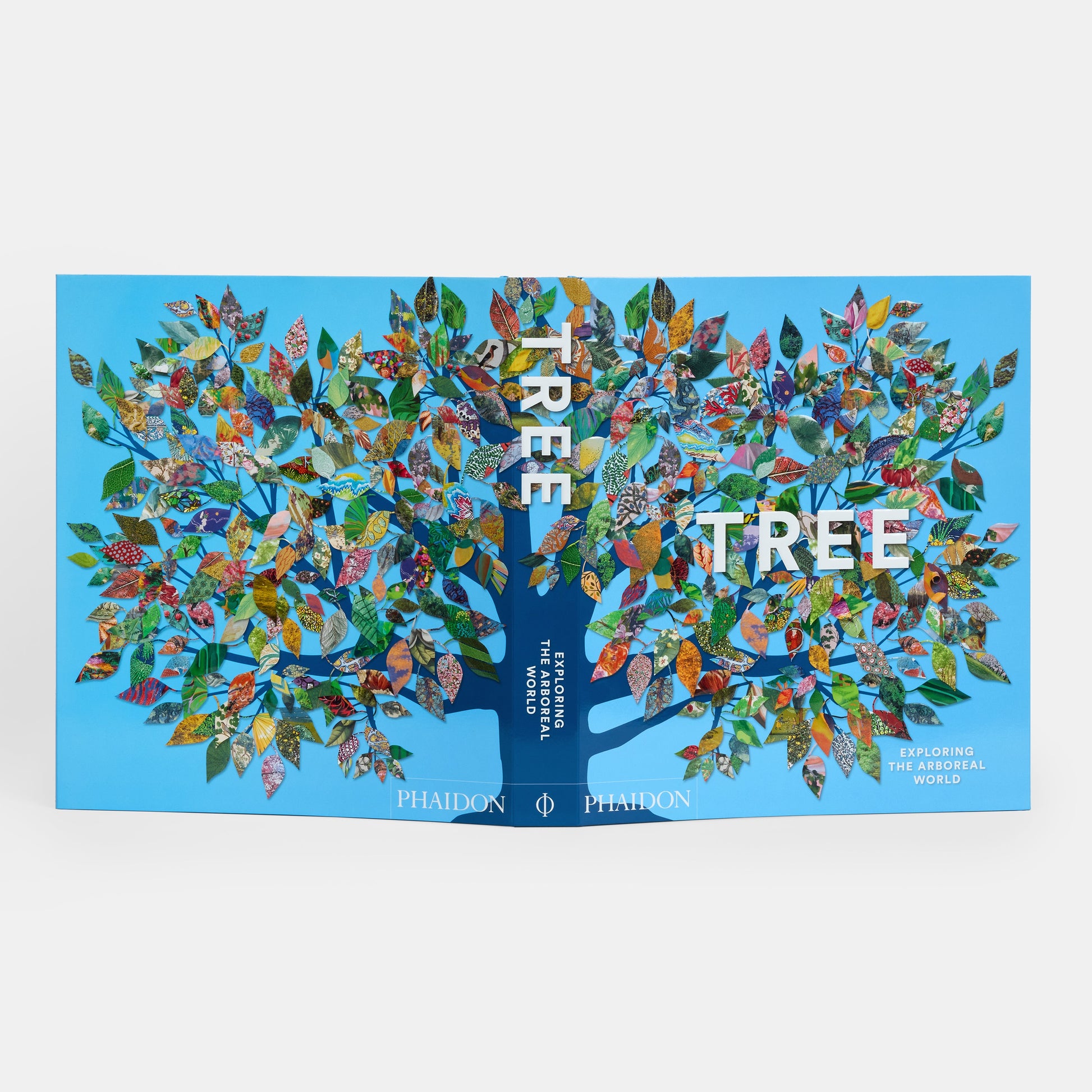 Árbol: Explorando el mundo arbóreo