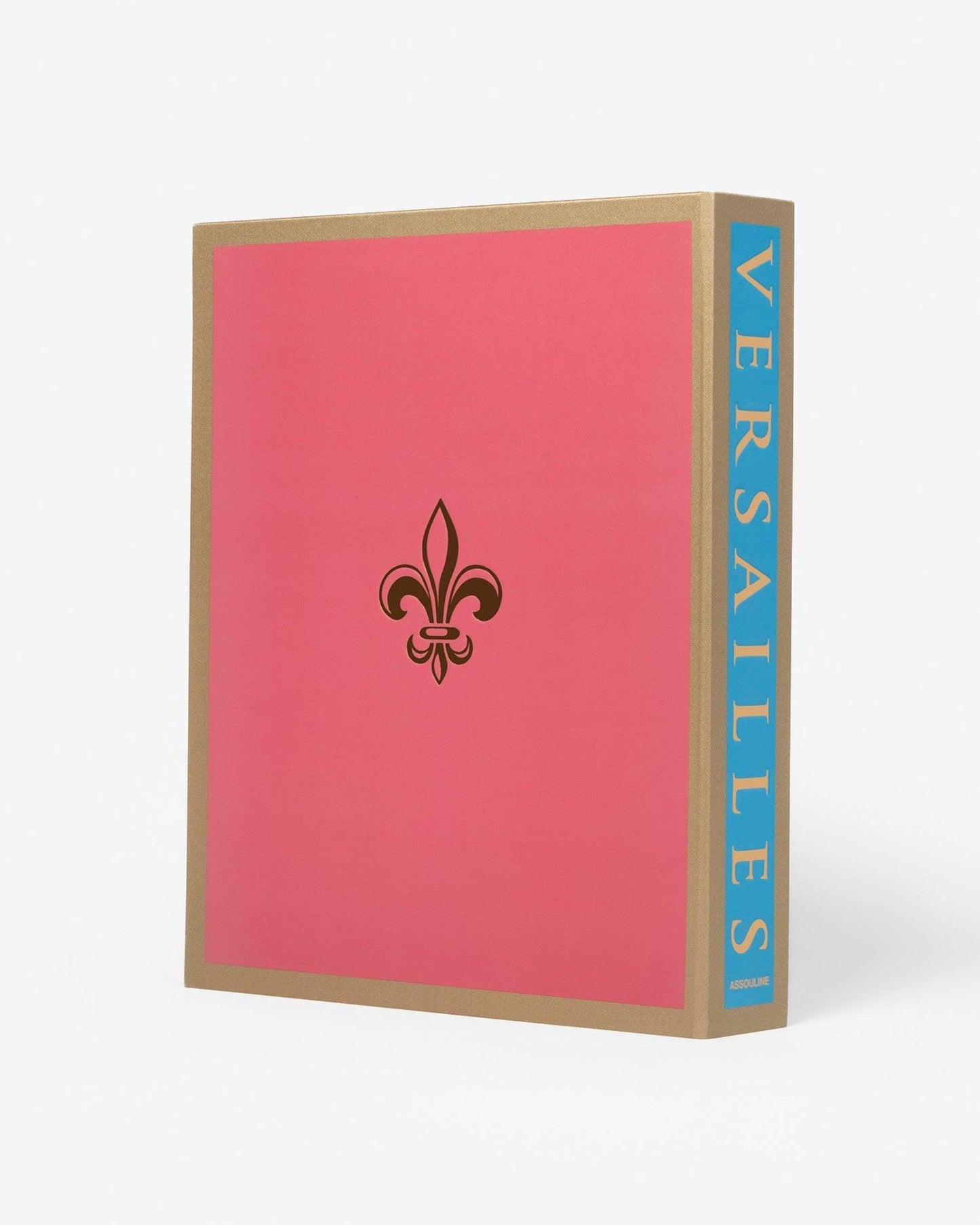 VERSALLES: DE LUIS XIV A JEFF KOONS