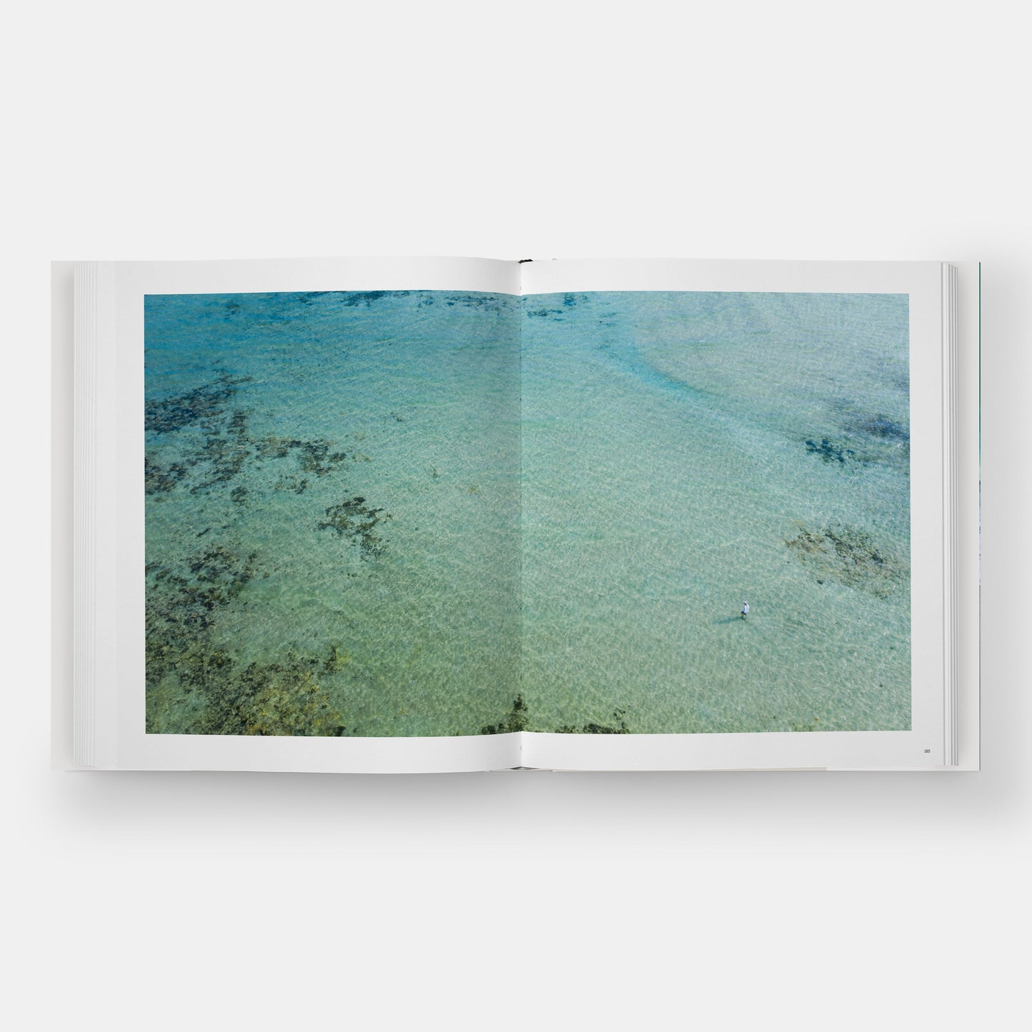 Vistas al agua: Ríos Lagos Océanos